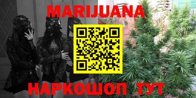 apvp Моздок