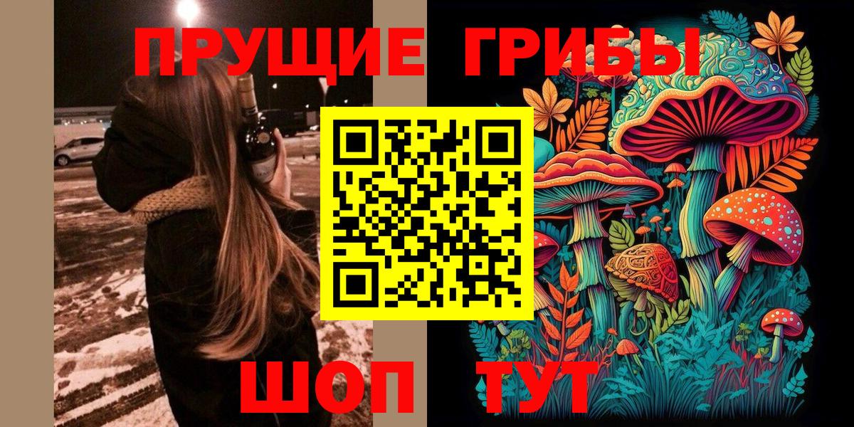 Галлюциногенные грибы Cubensis Борисоглебск